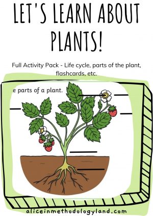 🌷Let's Explore Plants: Full Activity Pack