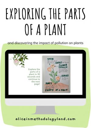 🌱Plants: Unit 3-Parts of a Plant
