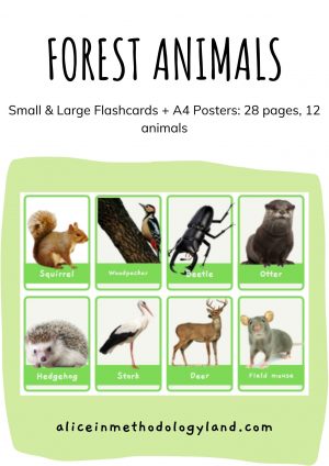 🌳 Forest animals: Small & Large Flashcards + A4 Posters