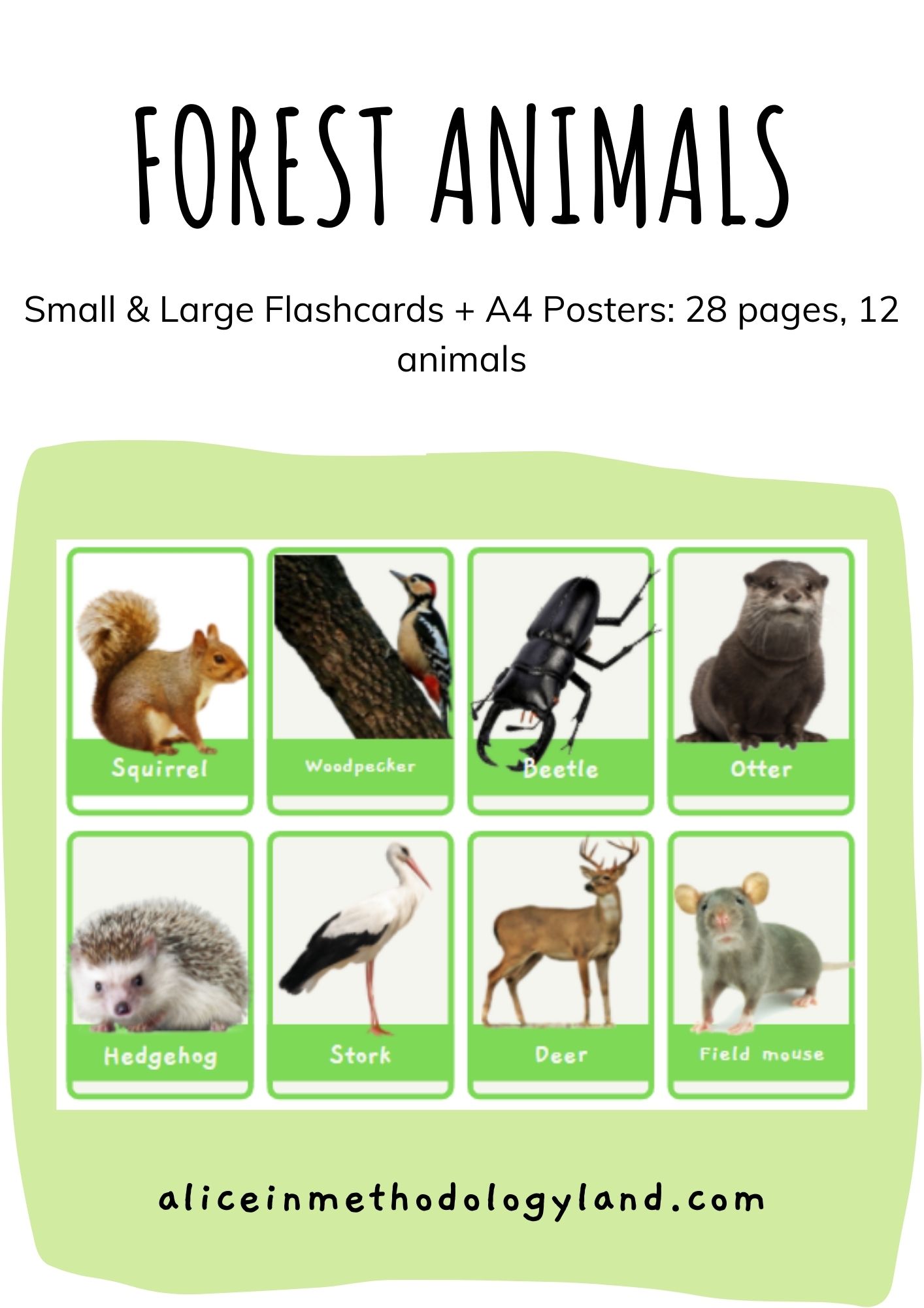 🌳 Forest animals: Small & Large Flashcards + A4 Posters ⋆ Discover  Methodologyland ✨