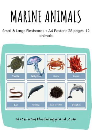 🐬Sea animals: Small & Large Flashcards + A4 Posters