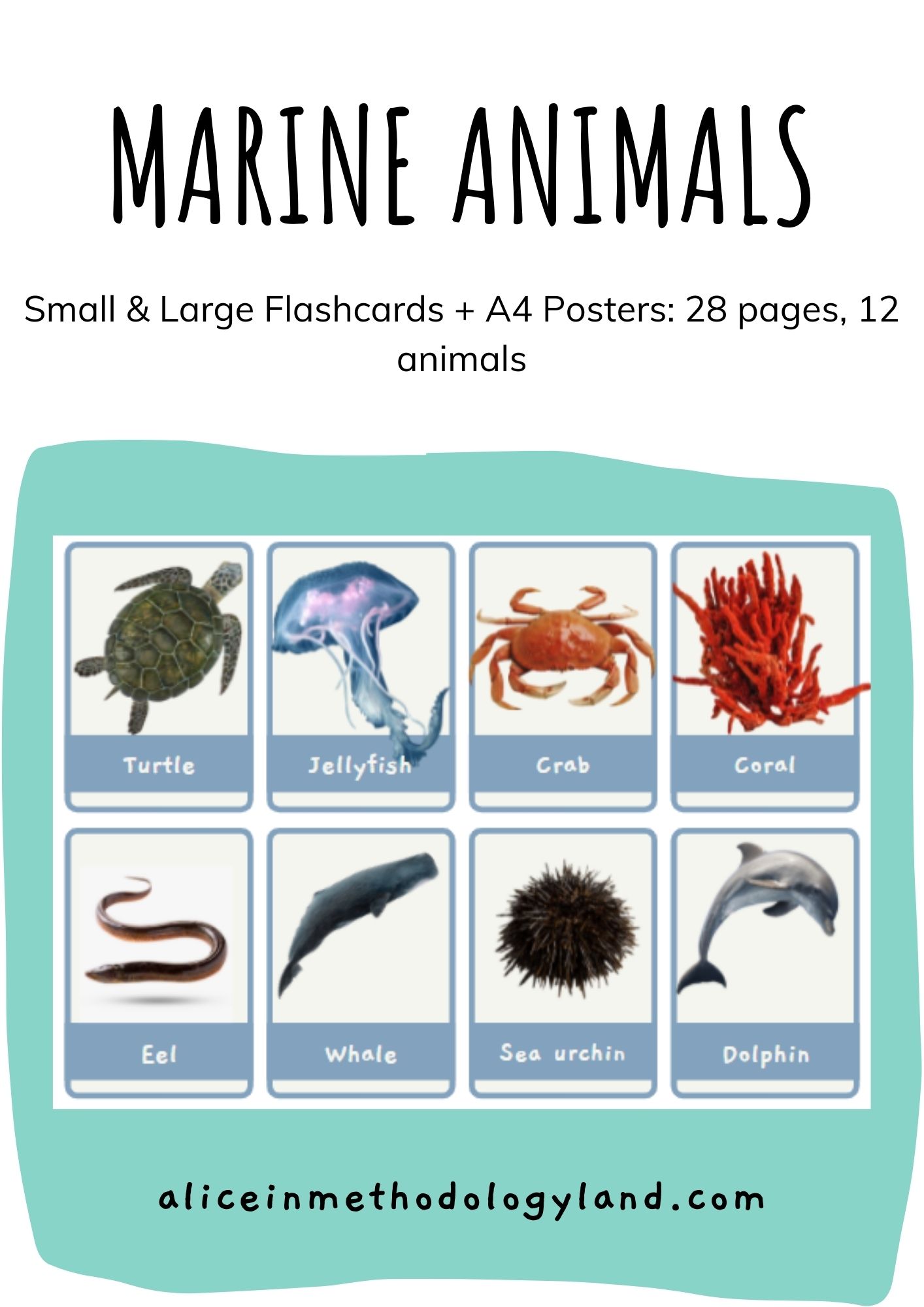 🐬Sea animals: Small & Large Flashcards + A4 Posters ⋆ Discover  Methodologyland ✨